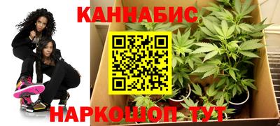 сатива Будённовск