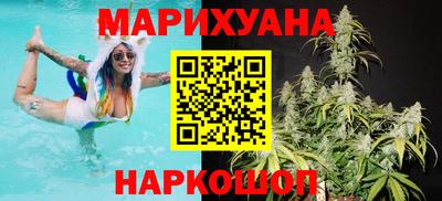 сатива Будённовск