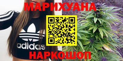 сатива Будённовск