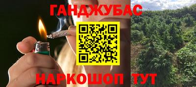 сатива Будённовск