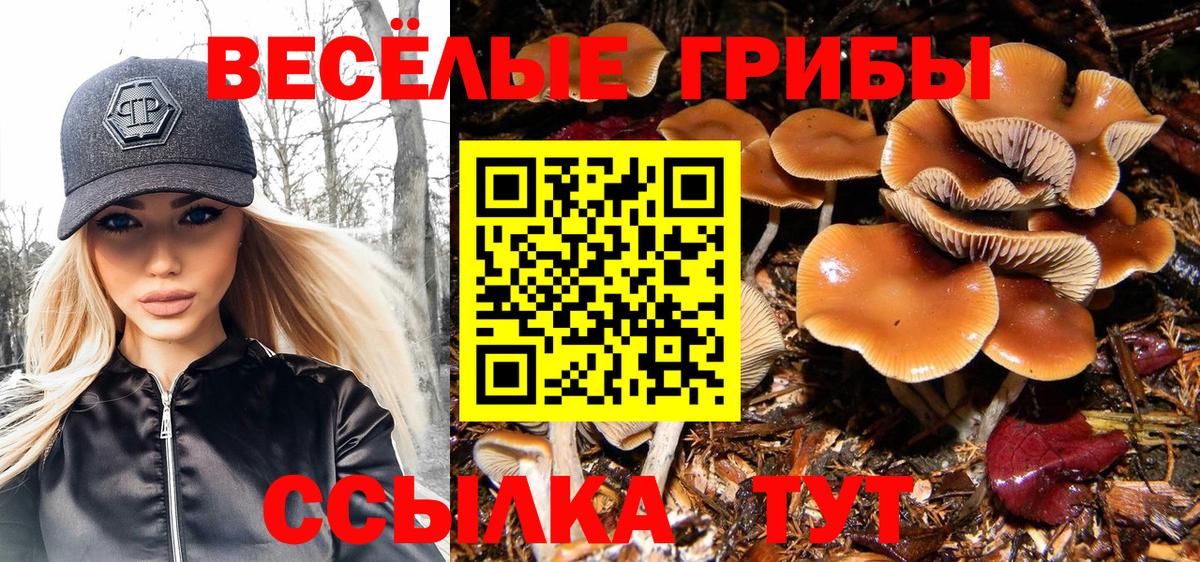 Псилоцибиновые грибы мицелий  Вход с VPN  Крымск 